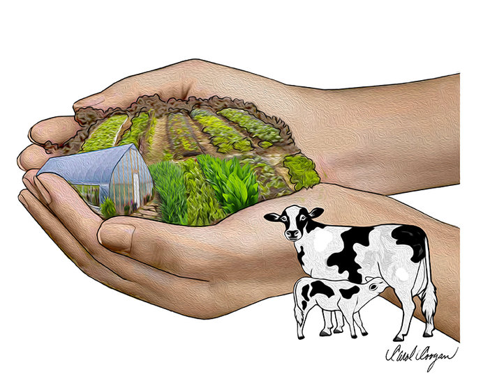 Common sense: We hold the future in our hands | The Altamont Enterprise Common sense: We hold the future in our hands | The Altamont Enterprise
