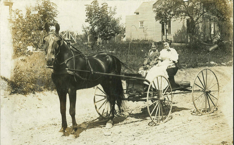 Remembering when old horses were not shot; they lived out their lives on the farms where they were worked and loved