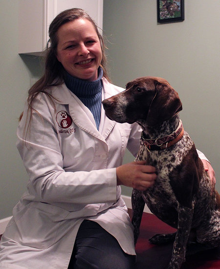 holistic dog vets near me