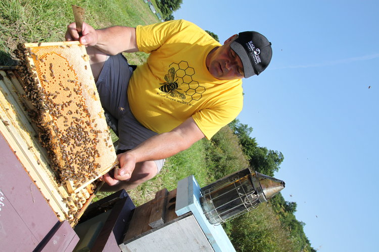Tim Norray raises bees in the Hilltowns.