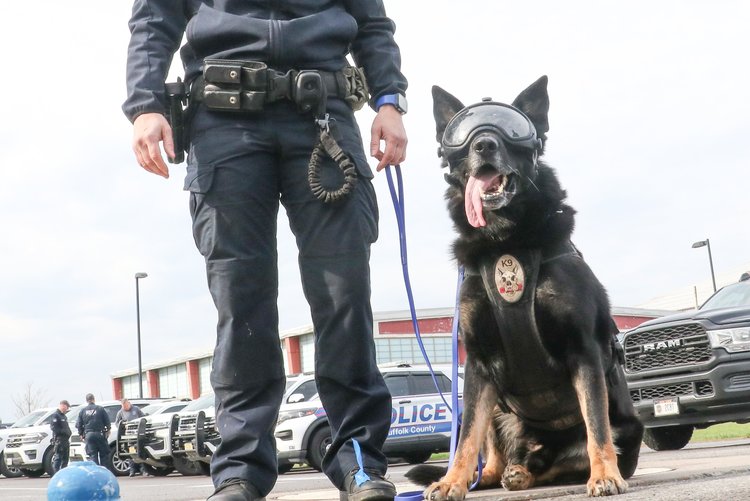 Albany County gets $344K in federal funds for safety initiatives