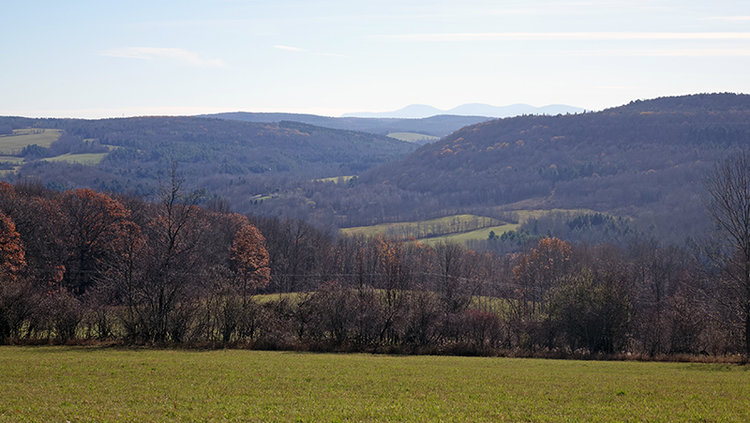 Switzkill Farm, in Berne