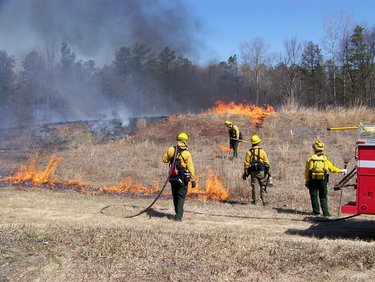 Albany Pine Bush Preserve prescribed burns