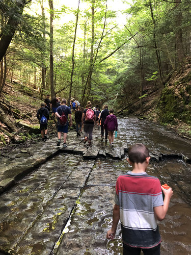 Exploring the stream bed at Switzkill Farm