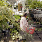 greenhouse, Robinson ACE Hardware, Bethlehem Chamber of Commerce, grand opening, business