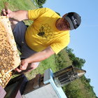 Tim Norray raises bees in the Hilltowns.