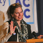 Assemblywoman Patricia A. Fahy